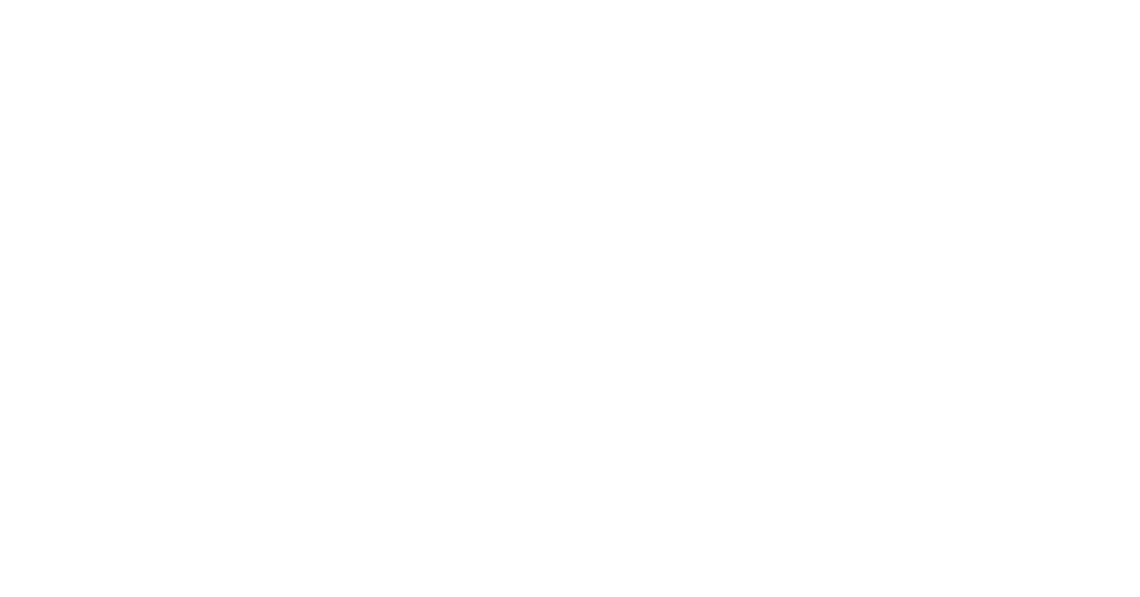 Dunav MG Travel logo